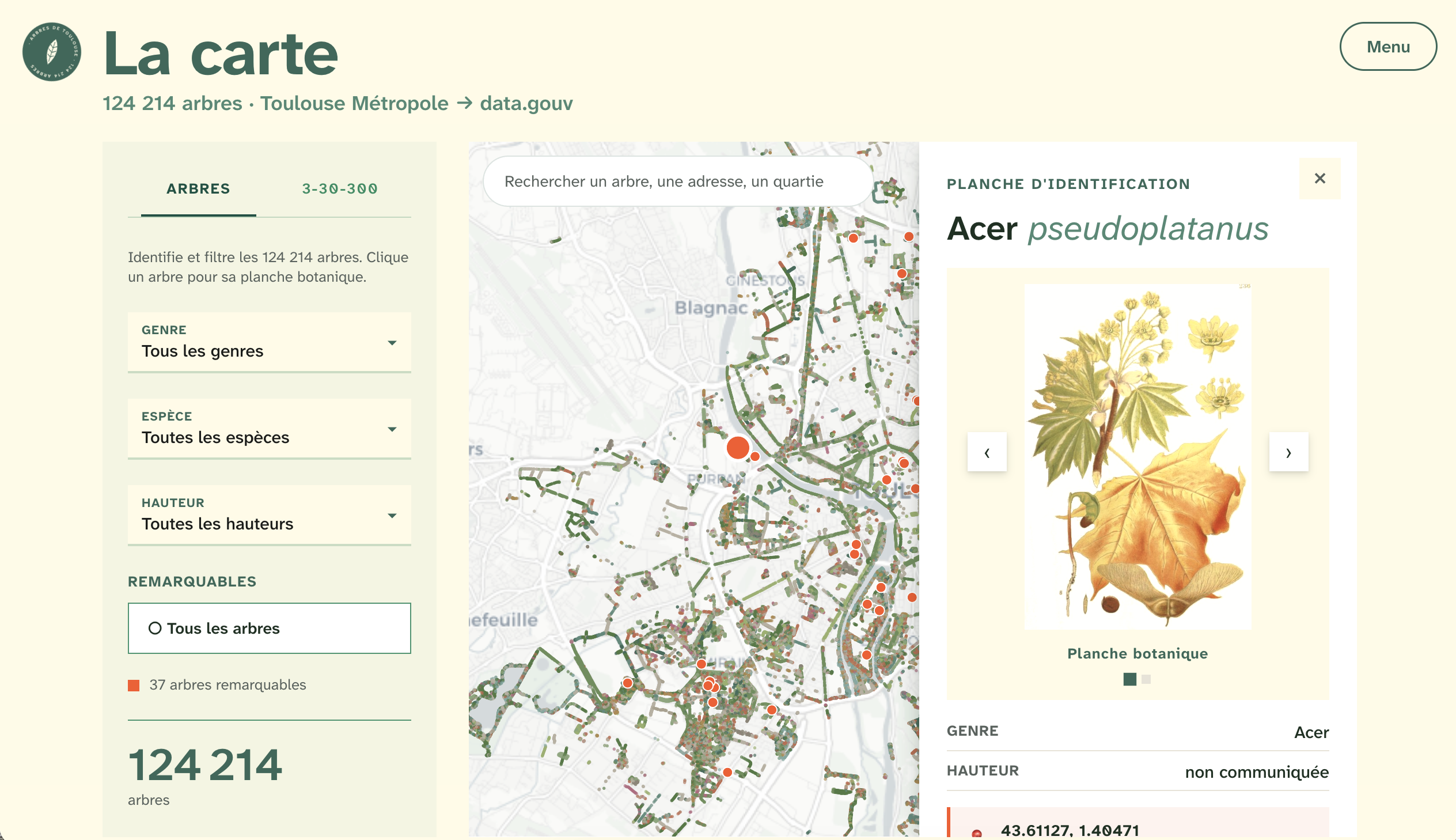 La carte des 124 214 arbres, colorés par genre, avec la fiche d'identification d'un érable (Acer pseudoplatanus) et sa planche botanique. Fond de carte © OpenStreetMap, © CARTO. Données Toulouse Métropole.